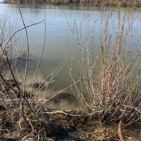 ЗАПУШТЕНА РЕЧНА КАПИЈА ГРАДА