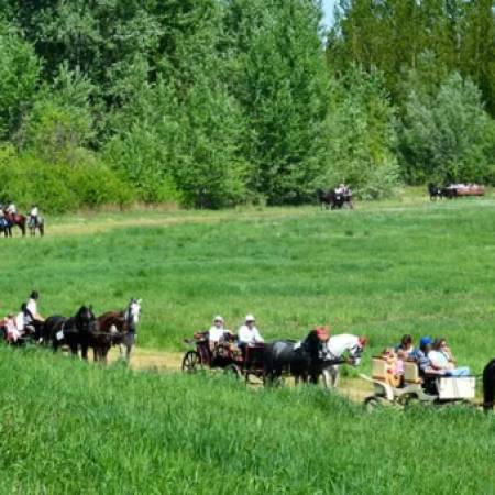 ДРУГА СМОТРА ЈАХАЧА, ФИЈАКЕРА И ЗАПРЕГА - АПАТИН 2019