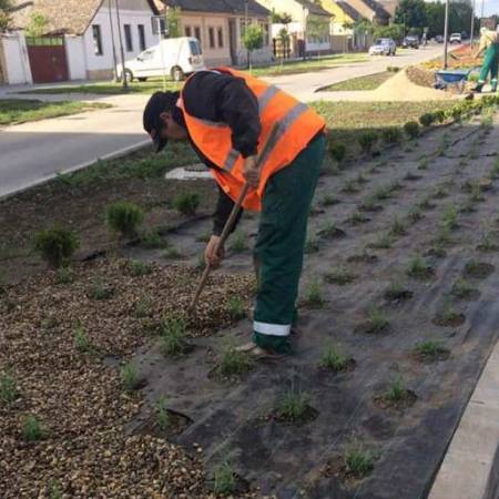 ОЗЕЛЕЊАВАЊЕ РЕКОНСТРУИСАНЕ УЛИЦЕ ПЕТЕФИ ШАНДОР