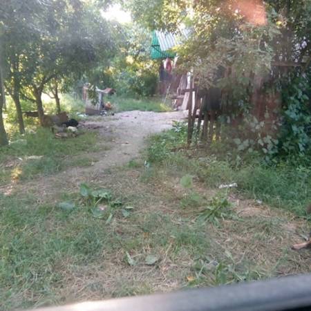 ЈЕЗИВО, ПСИ ИЗГРИЗЛИ МРТВОГ ГАЗДУ