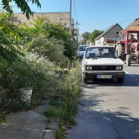 РУГЛО У УЛИЦИ НИКОЛЕ ТЕСЛЕ