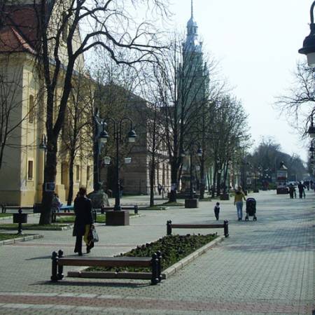 ДРУГА ЗАРАЖЕНА ОСОБА У АПАТИНУ: ВИРУС КОРОНА ПРЕНЕТ ИЗ АЛЕКСИНЦА