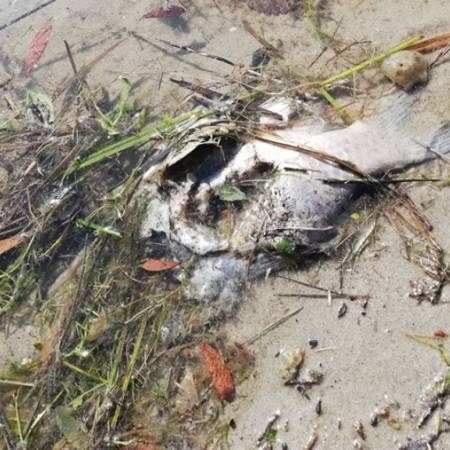 ЧИТАОЦИ ФОТОГРАФИШУ: ПЛАЖА, ПА ЈОШ ГРАДСКА