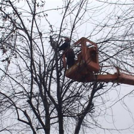 У понедељак део Пригревице без струје