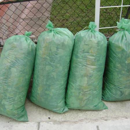 ОДВОЗ ЏАКИРАНОГ ЛИШЋА СА ЈАВНИХ ПОВРШИНА