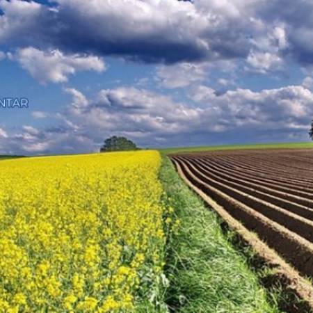 У ТОКУ АНКЕТА НАМЕЊЕНА ПОЉОПРИВРЕДНИМ ГАЗДИНСТВИМА