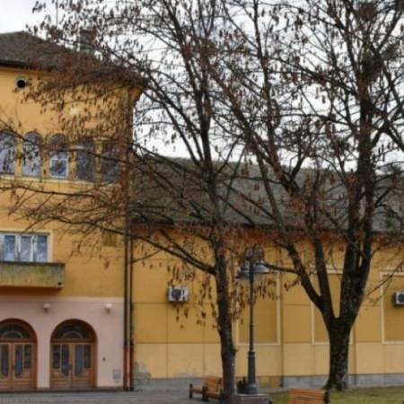 УНА И НИКОЛА ПРЕДСТАВЉАЋЕ АПАТИН НА ПОКРАЈИНСКОЈ СМОТРИ РЕЦИТАТОРА