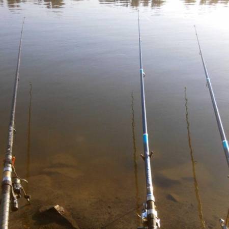 РЕКРЕАТИВНИ РИБОЛОВЦИ ПОКРЕНУЛИ ПЕТИЦИЈУ ЗА УКИДАЊЕ ПРИВРЕДНОГ РИБОЛОВА