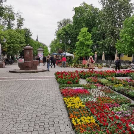 ЦВЕТНА ПИЈАЦА 28. и 29. АПРИЛА У АПАТИНУ