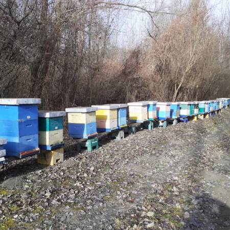 АПЕЛ ПЧЕЛАРА ПРОТИВ ХЕМИЈСКОГ ТРЕТИРАЊА КАНАЛА