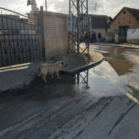 ЗАШТО РАЗЛИВЕНА ВОДА И СМРАД ИЗ ШАХТЕ У НАСЕЉУ, НИЈЕ ПРОБЛЕМ КОМУНАЛАЦА?
