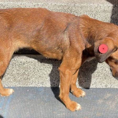 КОРАЋ: АЗИЛ ЧЕКА ДОЗВОЛУ НОВИХ ЗАПОШЉАВАЊА У ЈАВНОМ СЕКТОРУ