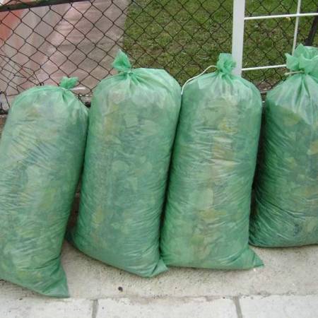 ЈЕСЕЊА АКЦИЈА ОДВОЗА ЛИШЋА СА ЈАВНИХ ПОВРШИНА