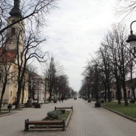 ПО ПОСЛЕДЊЕМ ПОПИСУ, АПАТИНСКА ОПШТИНА ИМА САМО 23.383 СТАНОВНИКА