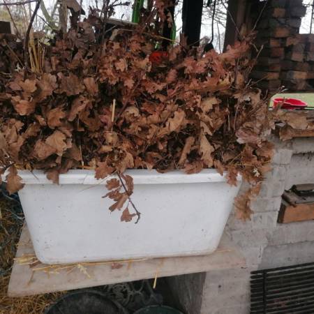 НЕ СЕЦИТЕ БАДЊАК, ПРЕУЗМИТЕ ГА НА “МАЛОМ ПЕТРОВОМ САЛАШУ”!