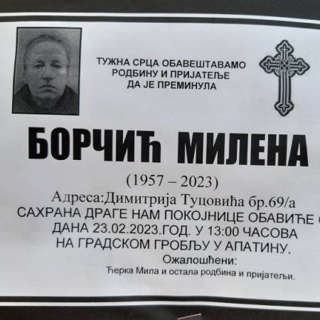 ПОТВРЂЕНО - УТОПЉЕНИЦА ПРОНАЂЕНА У ДУНАВУ ЈЕСТЕ НЕСТАЛА АПАТИНКА
