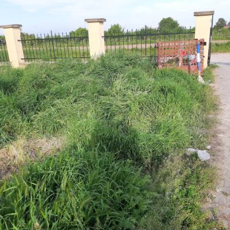 ДОК СЕ ЧЕКАЈУ КОМУНАЛЦИ АПАТИН ЗАРАСТАО У ТРАВУ