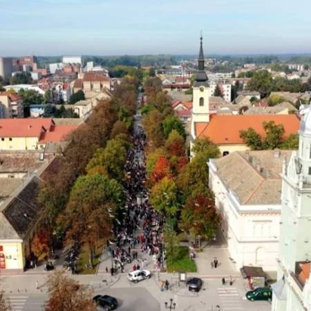 РЕФЕРЕНДУМ О САМОДОПРИНОСУ: ГДЕ ЋЕ СЕ ГЛАСАТИ У НЕДЕЉУ?