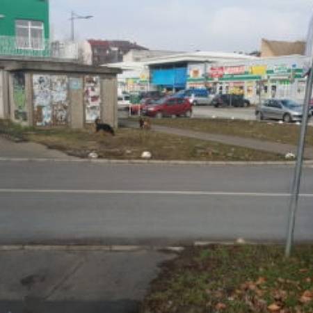 УКЛОНИТЕ ПСЕ ЛУТАЛИЦЕ СА УЛИЦА