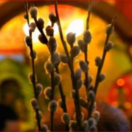 У ПРИГРЕВИЦИ ПРОСЛАВЉЕНА ВРБИЦА