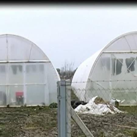 УЗГОЈ ЕКОЛОШКОГ ПОВРЋА НА СЛАМИ У АПАТИНУ - СЛАВИЦА ЦВЈЕТИЋАНИН