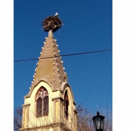 ВРАТИЛЕ СЕ РОДЕ