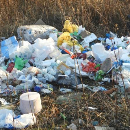 СМЕЋЕ НА СВЕ СТРАНЕ...